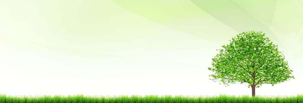 �u�����E���N�E���������v���@���߂�